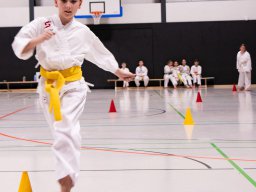kleiner_samurai_2023_1_20231221_1204867446